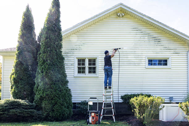 Best Pool Deck Cleaning  in Myrtle Point, OR
